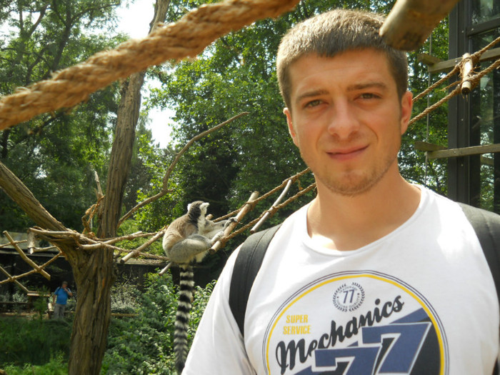 Cehia, gradina zoo