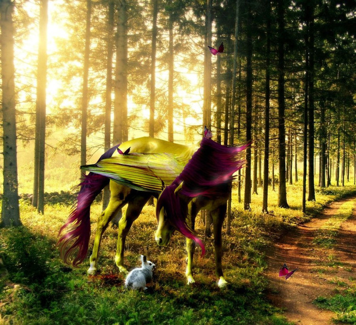 fluttershy_by_mistysteel-d59lpls