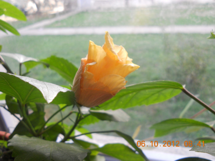 DSCN2049