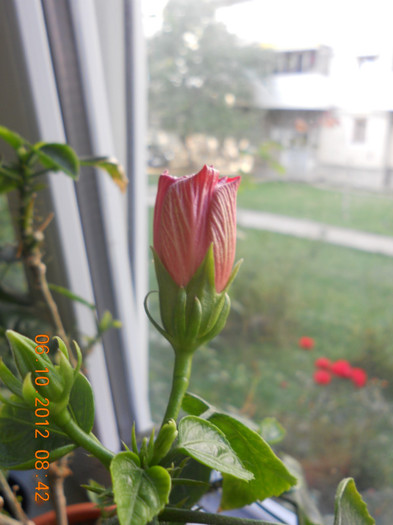 DSCN2052
