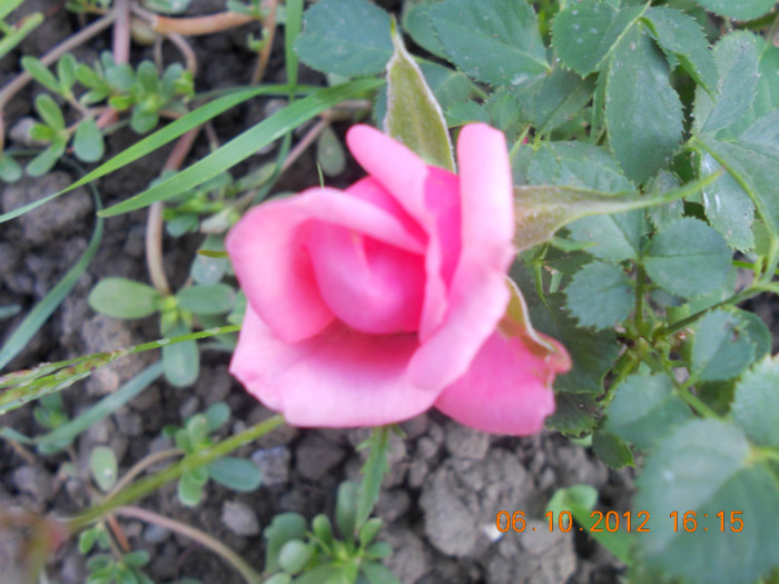 DSCN2070