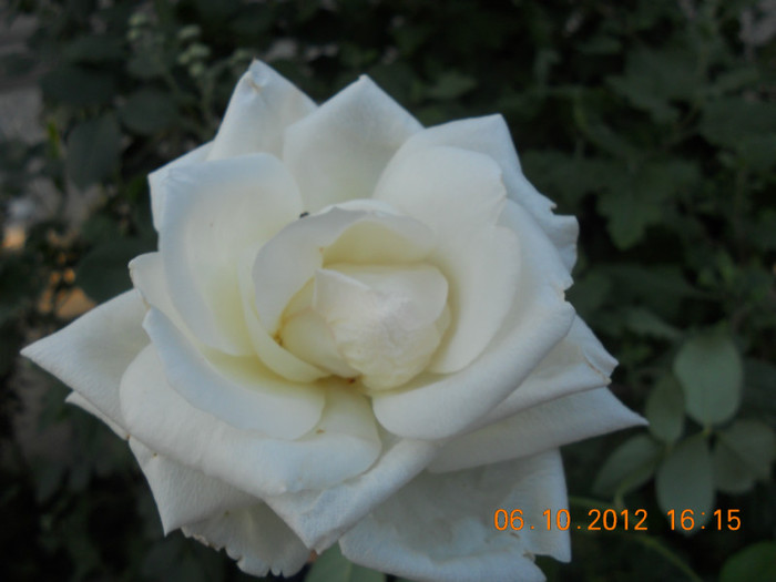 DSCN2072