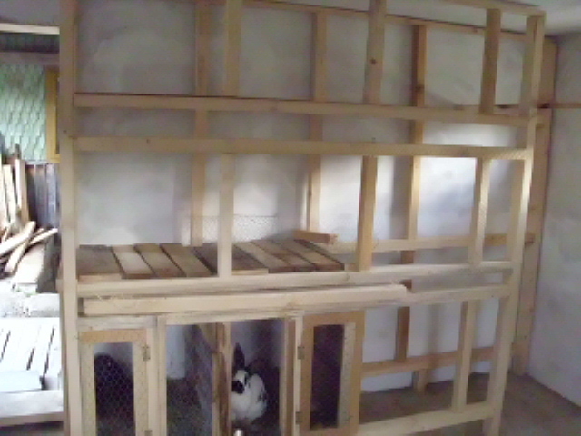 IMG_4155; un nou inceput
