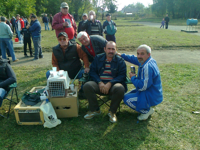 Fotografie0043 - Targ de pasari si animale mici Dej-07-10-2012