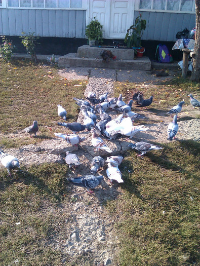 IMAG0649 - DND La masa