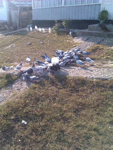 IMAG0651 - DND La masa