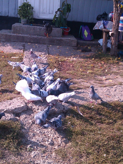 IMAG0652 - DND La masa