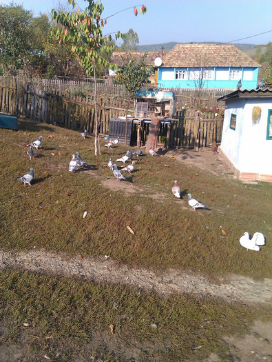 IMAG0655 - DND La masa