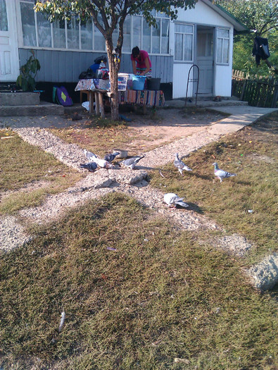 IMAG0656 - DND La masa