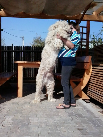 2012-10-07 13.57.11 - a CIOBANESTI MIORITICI