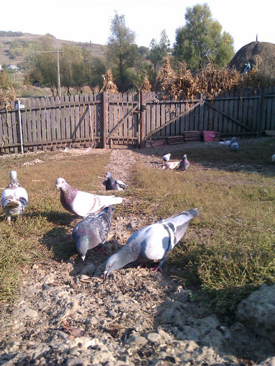 IMAG0670 - DND La masa