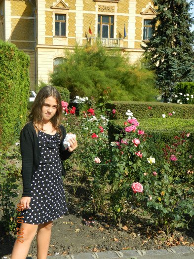Fiica mea Diana - X Brasov-orasul meu plide de flori