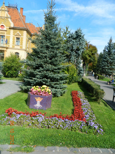 Posta centrala...aici primesc eu coltele.... - X Brasov-orasul meu plide de flori