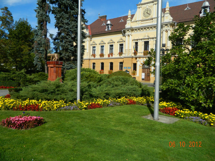 Primaria - X Brasov-orasul meu plide de flori