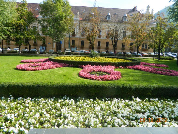 DSCN2234 - X Brasov-orasul meu plide de flori