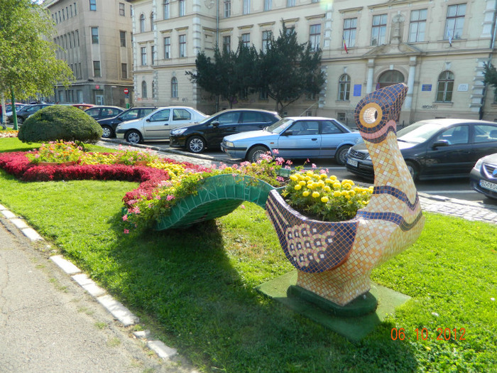 Paunul cu coada.... - X Brasov-orasul meu plide de flori