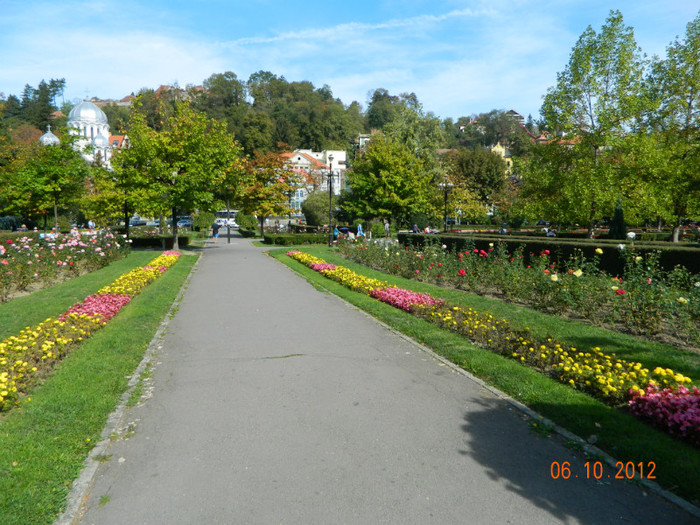 DSCN2243 - X Brasov-orasul meu plide de flori