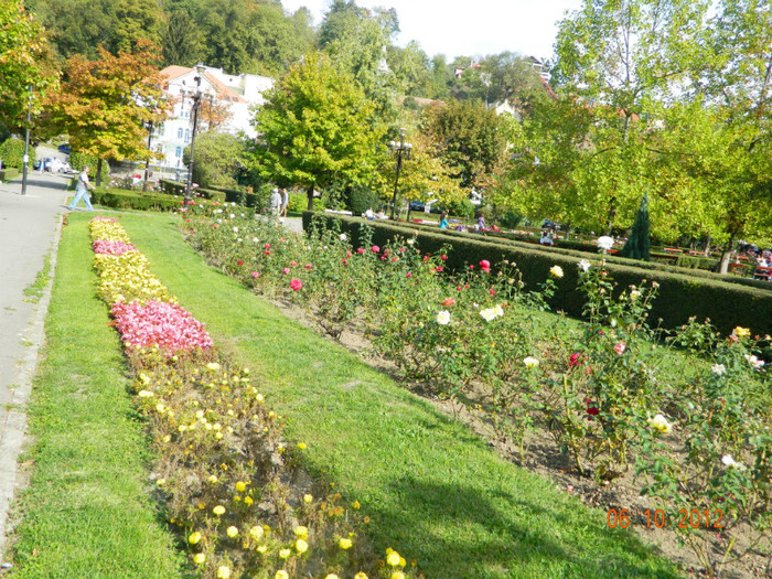 Parcul Titulescu.... - X Brasov-orasul meu plide de flori