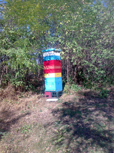 07102012021 - Zum-Zum-Albinuta