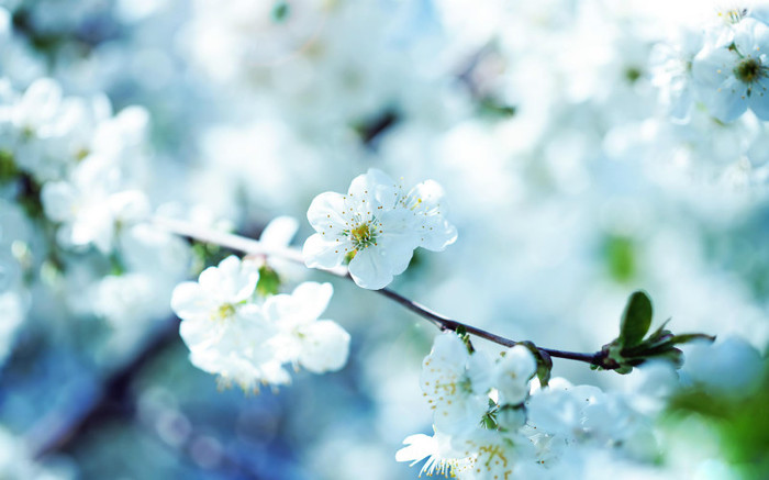 Balul lua sfarsit.Toti,mersera acasa!