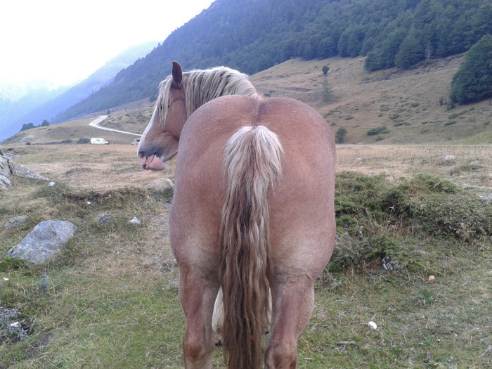 132 - Vacanta 2012