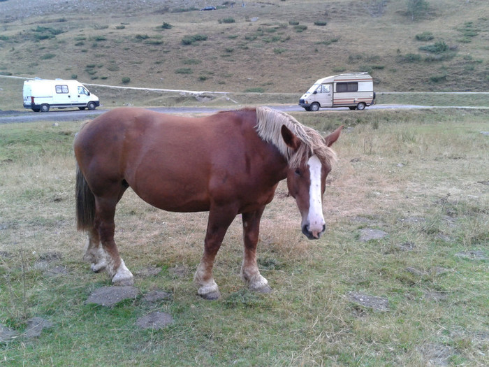 138 - Vacanta 2012