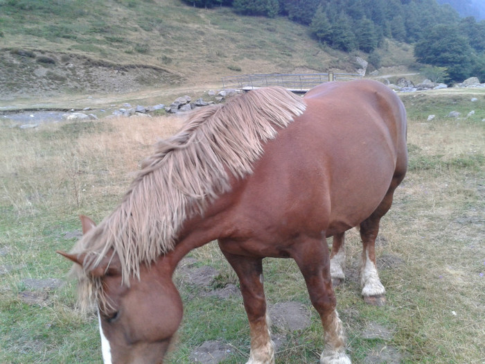 145 - Vacanta 2012