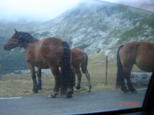 DSC02755 - Vacanta 2012