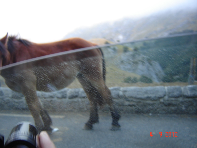 DSC02756 - Vacanta 2012