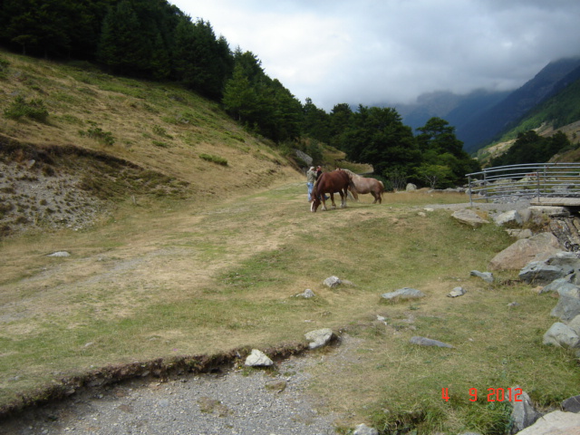 DSC02979 - Vacanta 2012