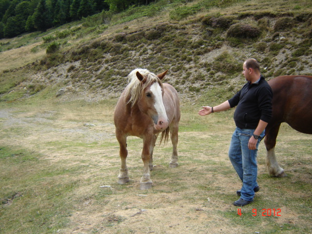 DSC02984 - Vacanta 2012