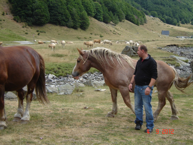 DSC02986 - Vacanta 2012