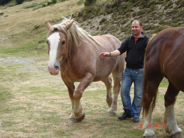 DSC02987 - Vacanta 2012