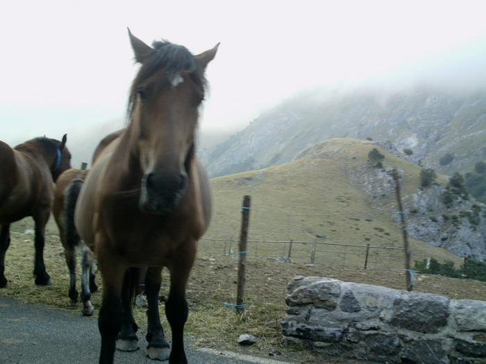 IMAG0061 - Vacanta 2012