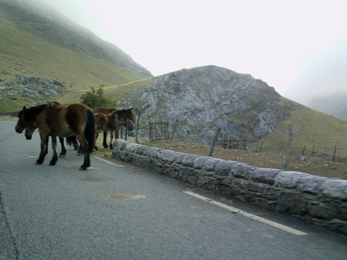 IMAG0062