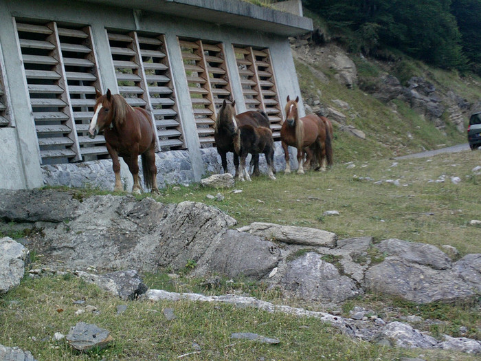 IMAG0068 - Vacanta 2012
