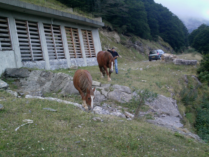 IMAG0075 - Vacanta 2012