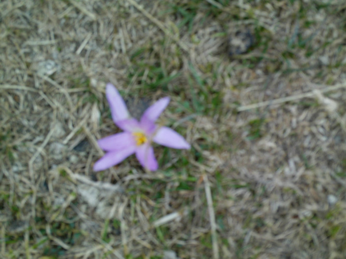 IMAG0202 - Vacanta 2012