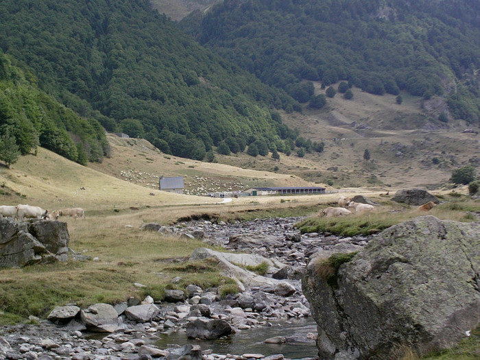 IMAG0204 - Vacanta 2012