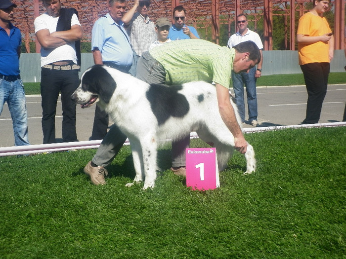 P1020834 - 7_ Euro Dog Show 2012