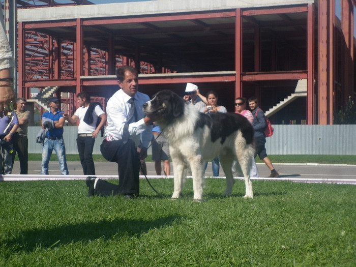 P1020837 - 7_ Euro Dog Show 2012