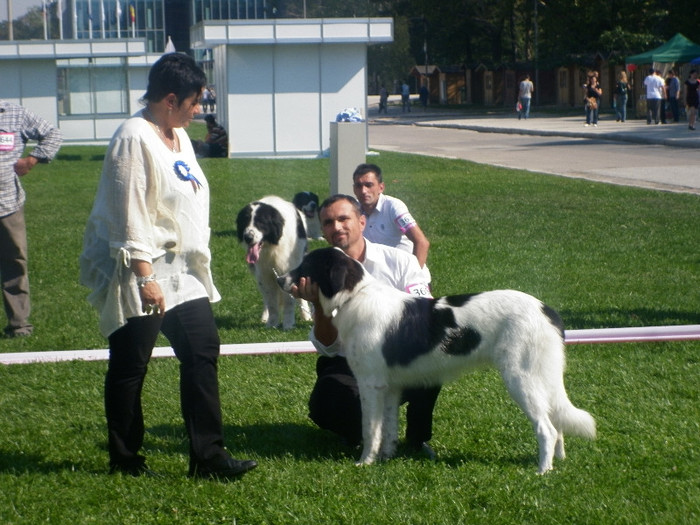 P1020853 - 7_ Euro Dog Show 2012