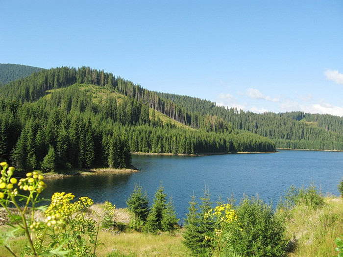 41635711 - 2011 Transalpina 13 aug