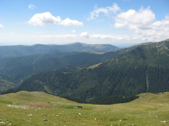 41635725 - 2011 Transalpina 13 aug