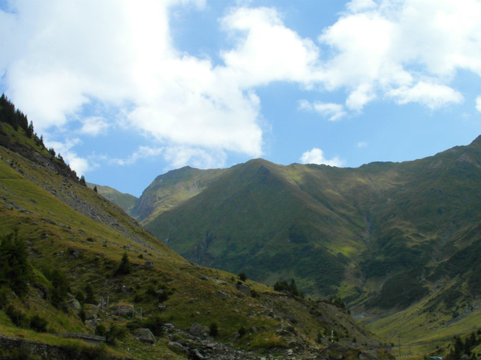 SAM_1151 - 2012 Transfagarasan aug