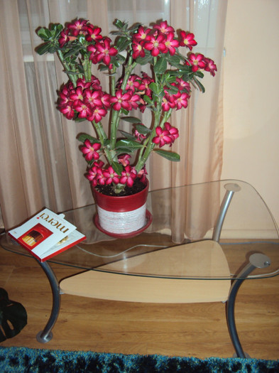 DSC01054
