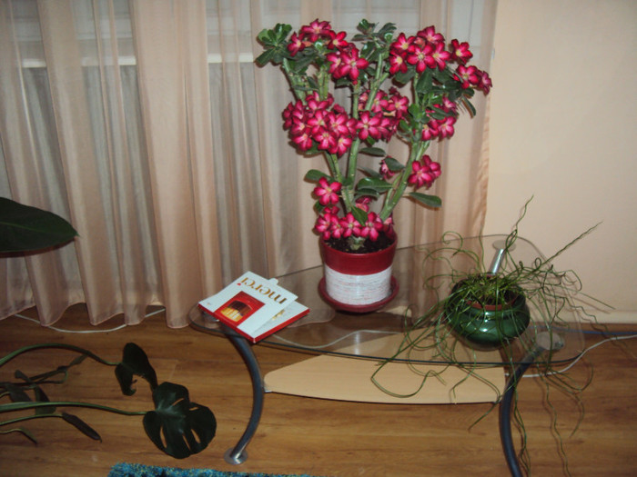DSC01057