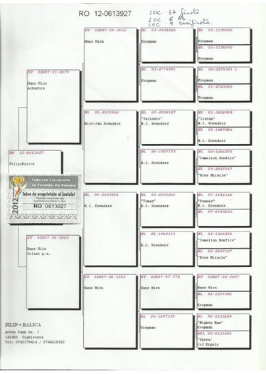 Pedigree RO  0613927 / 2012; RO  0613927/12, Loc 6 AS si 37 finala
