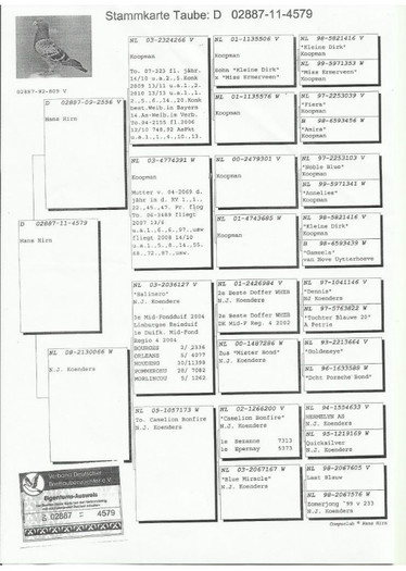 Pedigree D 02887-11-4579 - LOC 6 AS si 37 Honest scapat