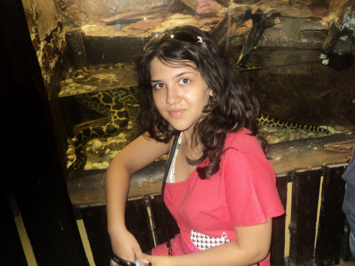 DSC03047
